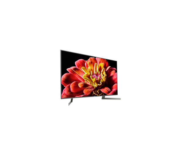 Sony KD-49XG9005 - 507604 - zdjęcie 3